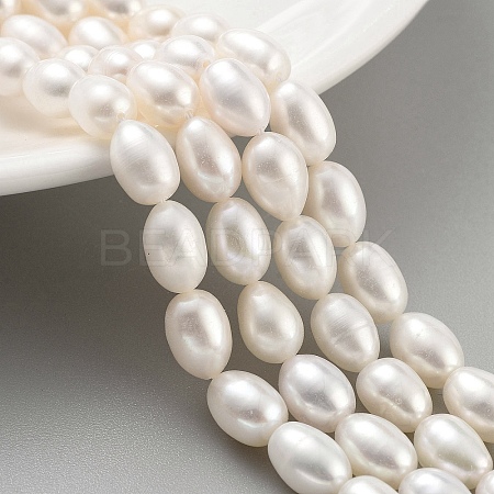 Natural Cultured Freshwater Pearl Beads Strands PEAR-P062-10F-1