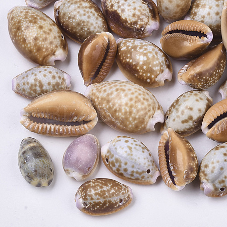 Natural Cowrie Shell Links connectors SSHEL-N034-22-1
