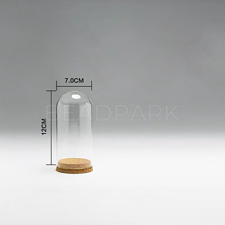 High Borosilicate Glass Dome Cover DJEW-PW0001-23C-01-1