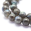 Natural Labradorite Beads Strands G-O166-08-10mm-3