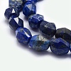 Natural Lapis Lazuli Beads Strands G-O170-27-3