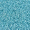 MIYUKI Delica Beads X-SEED-J020-DB1708-3