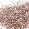 TOHO 11/0 Round Beads X-SEED-TR11-1069-1