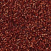 MIYUKI Delica Beads X-SEED-J020-DB0601-3