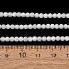 Natural Freshwater Shell Beads Strands SH-CBA2978-07D-01-4