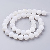 Natural Crackle Agate Beads Strands G-G055-10mm-5-2