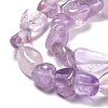 Natural Amethyst Beads Strands G-P092-39-2