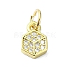 Brass Micro Pave Cubic Zirconia Pendants KK-H475-29B-01G-1