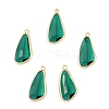 5Pcs Glass Pendants GLAA-YW0004-78E-1