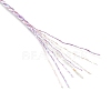 17M Rainbow Color Polyester Sewing Metallic Thread OCOR-E026-08D-3