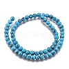 Synthetic Turquoise Beads Strands Z0NDC014-1-2