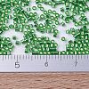 MIYUKI Delica Beads Small SEED-X0054-DBS0046-4