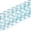 Baking Paint Transparent Glass Beads Strands DGLA-N021-01A-01-1