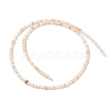 Natural Freshwater Shell Beads Strands SHEL-P017-01A-10-2