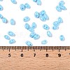 Baking Paint Glass Seed Beads SEED-T006-03I-4