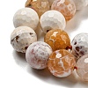 Faceted Natural Fire Crackle Agate Beads Strands G-F447-12mm-H04-4