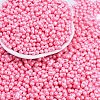Baking Paint Glass Seed Beads X1-SEED-K010-A13-1