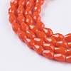 Opaque Solid Color Glass Beads Strands X-GLAA-A036-G05-3