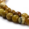 Natural Yellow Opal Beads G-P446-02A-3