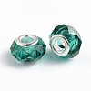 Handmade Glass European Beads GPDL25Y-68-2