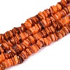Natural Freshwater Shell Beads Strands SHEL-N037-01B-1
