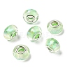 Drawbench Resin European Large Hole Beads DACR-S011-06-3
