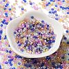 8/0 Glass Seed Beads SEED-Z001-C-E15-4