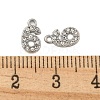304 Stainless Steel Pendants STAS-L080-002P-06-3