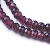 Natural Garnet Beads Strands G-E538-03-1