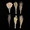 6Pcs Plant PET Adhesive Waterproof Stickers DIY-K074-01C-3