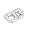 304 Stainless Steel Pendants STAS-I325-146P-B-2