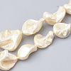 Shell Pearl Beads Strands X-BSHE-Q031-15H-1