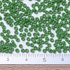 MIYUKI Round Rocailles Beads X-SEED-G007-RR0411-4