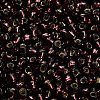TOHO 6/0 Round Beads X-SEED-TR06-0026C-4