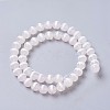 Natural Tibetan dZi Agate Beads Strands G-P425-03E-8mm-1
