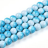 Baking Paint Glass Beads Strands DGLA-N012-10mm-05-1