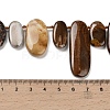 Natural Petrified Wood Beads Strands G-C253-07-5