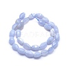 Natural Blue Lace Agate Beads Strands G-O170-29-2