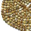 Natural Picture Jasper Beads Strands G-K389-E12-01-3