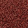 TOHO 11/0 Round Beads X-SEED-TR11-PF2113-2