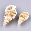 Natural Spiral Shell Beads SSHEL-R036-15-2