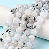 Natural Rainbow Moonstone Beads Strands G-Q1001-A05-02-1