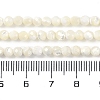 Natural Shell Beads Strands SSHEL-E571-38B-4mm-5