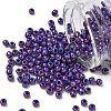 TOHO 6/0 Round Beads SEED-XTR06-0461-1