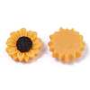 Resin Cabochons CRES-T010-57A-2