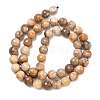 Natural Petrified Wood Beads Strands G-L642-F09-8mm-3