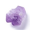 Natural Amethyst Beads G-F621-20-2