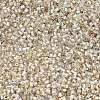 FGB 15/0 Grade A Glass Seed Beads SEED-A023-F15-H634-3