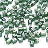 6/0 Glass Seed Beads SEED-YW0001-25F-1