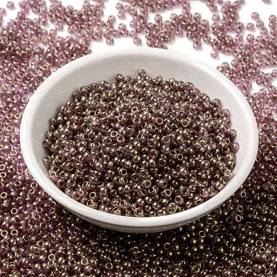MIYUKI Round Rocailles Beads SEED-X0055-RR2448-1